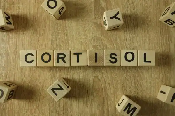 The Hidden Connection: How Stress Shapes Your Fitness and Body Composition 2 Image saying "Cortisol" and how stress Birch impacts your wellbeing and bodies shape